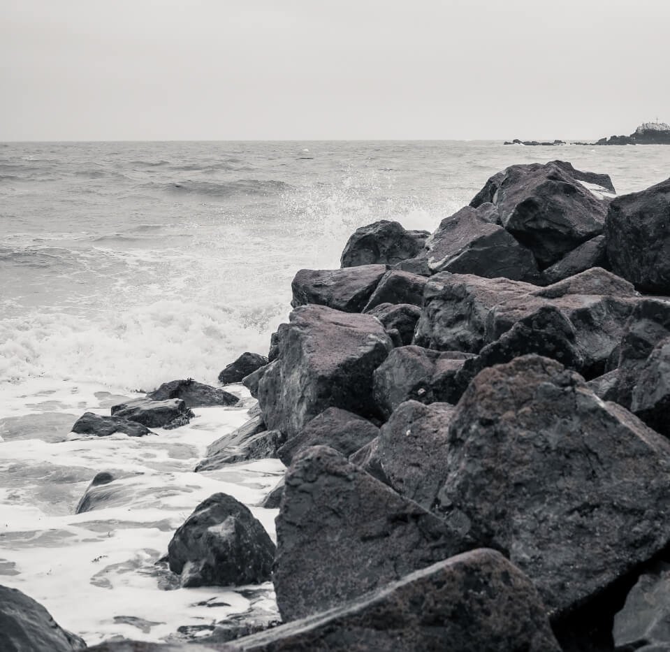 passion-du-gout passion-du-gout